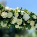 Wedding arbour florals