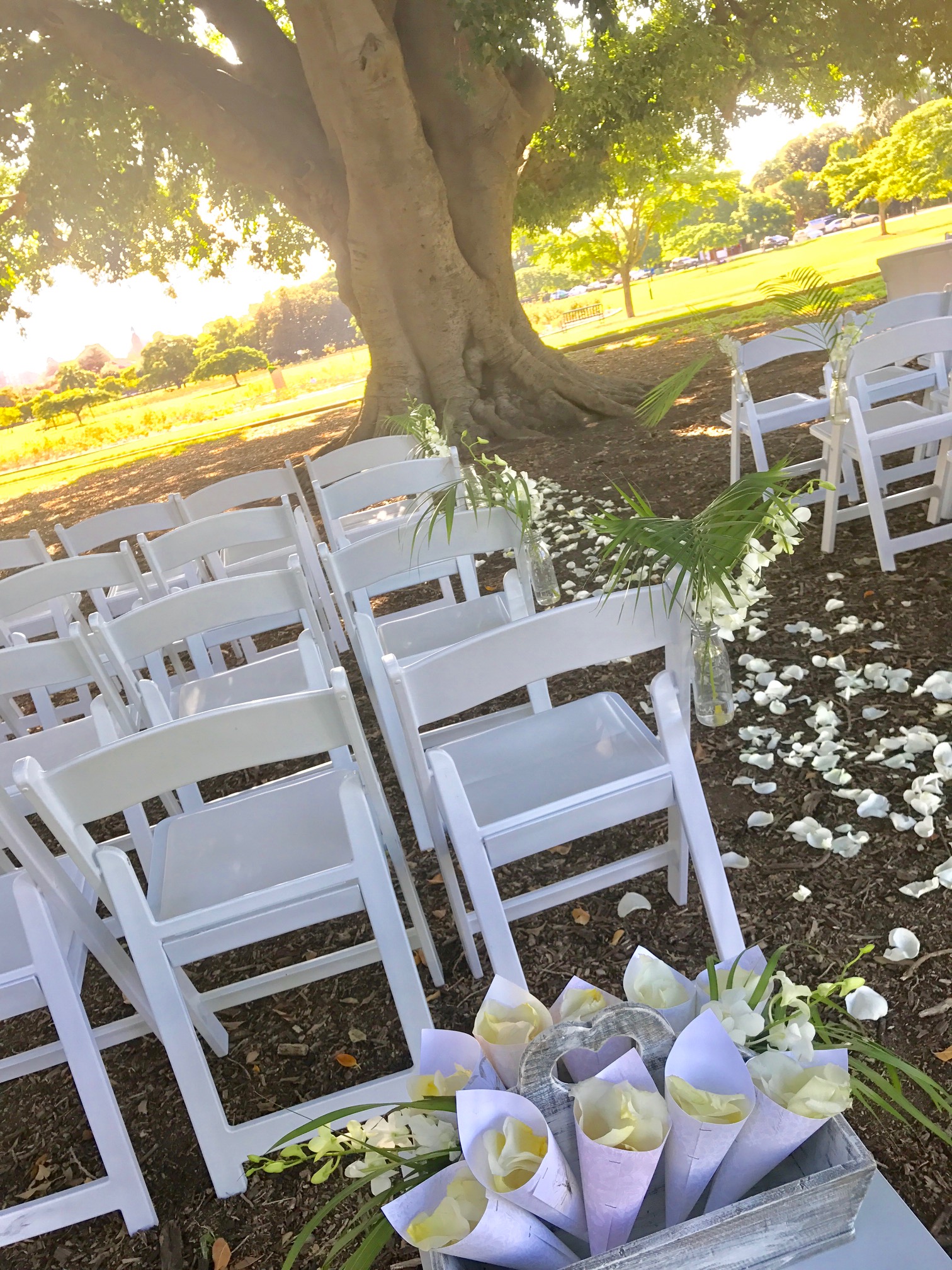 New Farm Park Weddings With Love Brisbane Wedding Decorators