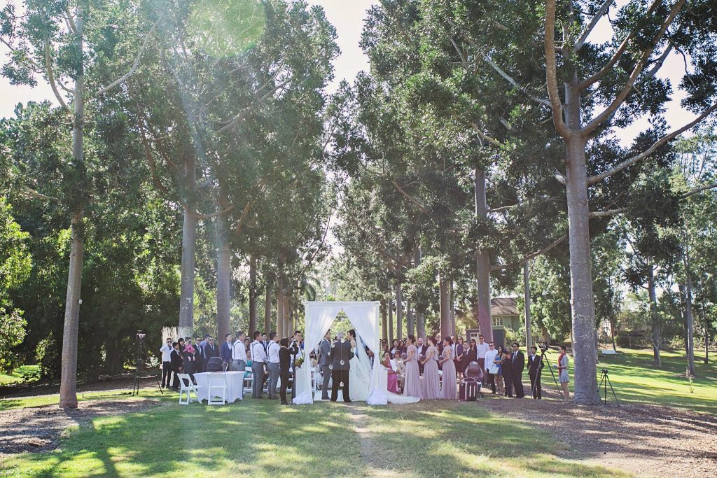 Sherwood Arboretum wedding arbour