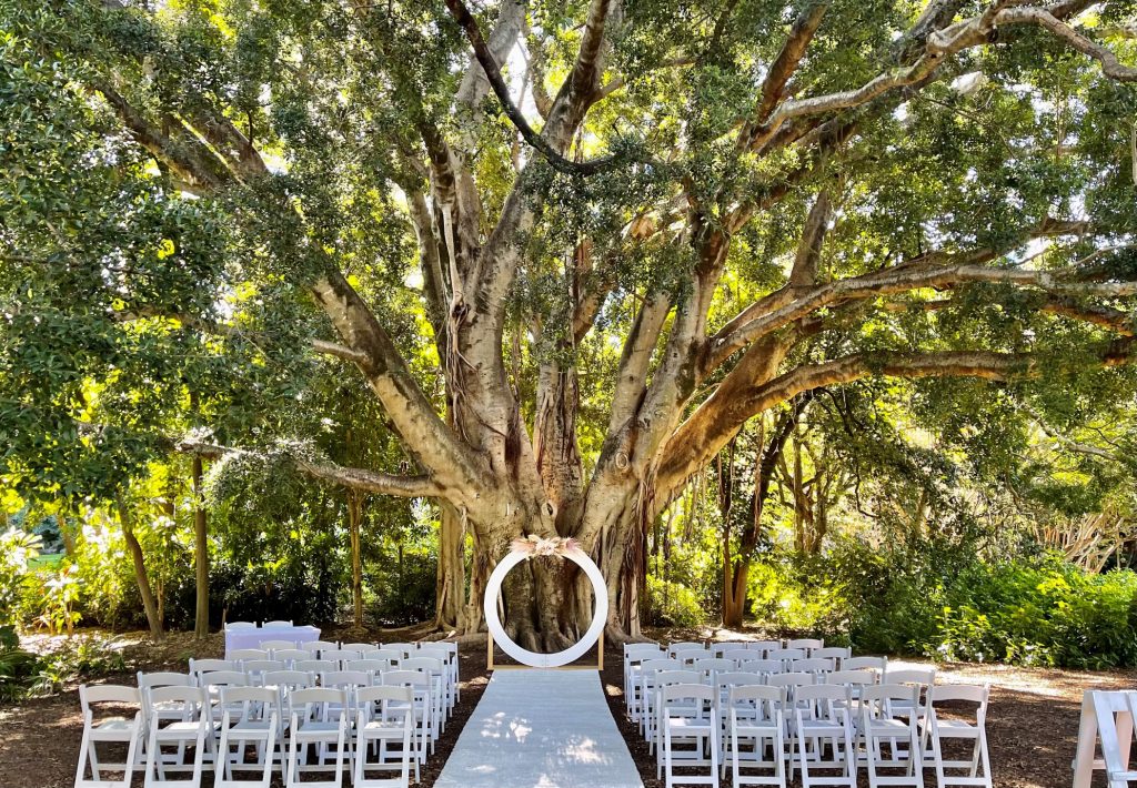 Palm Avenue Lawn wedding City Botanic