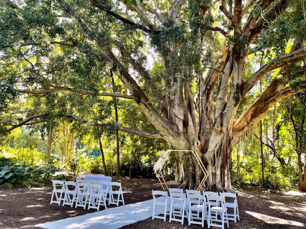 Brisbane City Botanic gardens wedding ceremony