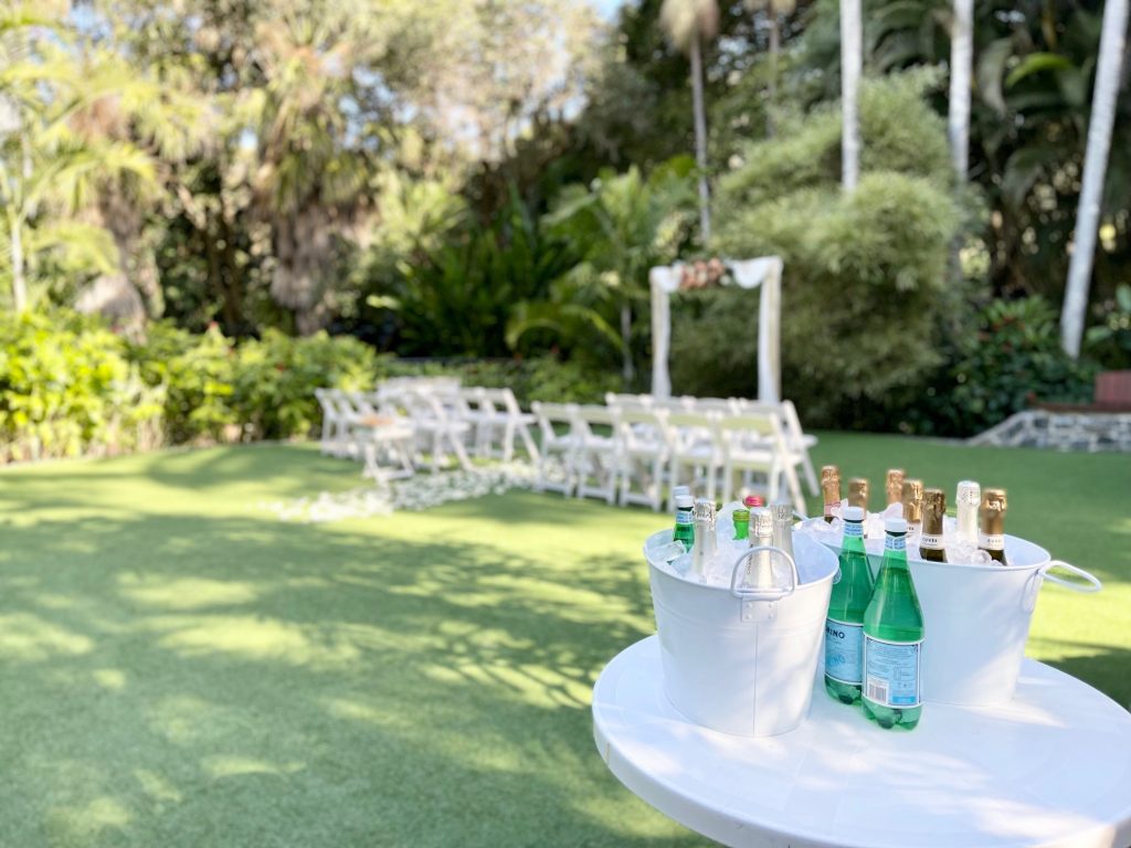 Wedding drinks Mt Coot-tha Botanic Gardens