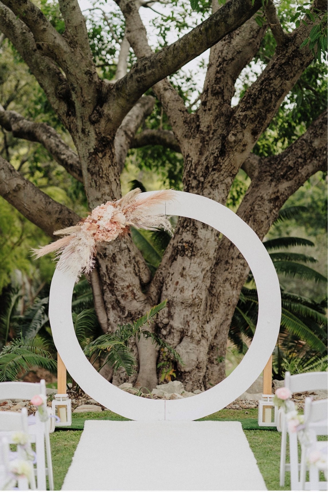 white circle wedding arch with soft pink dried flowers on the arbour with a beautiful large tree in the backdrop