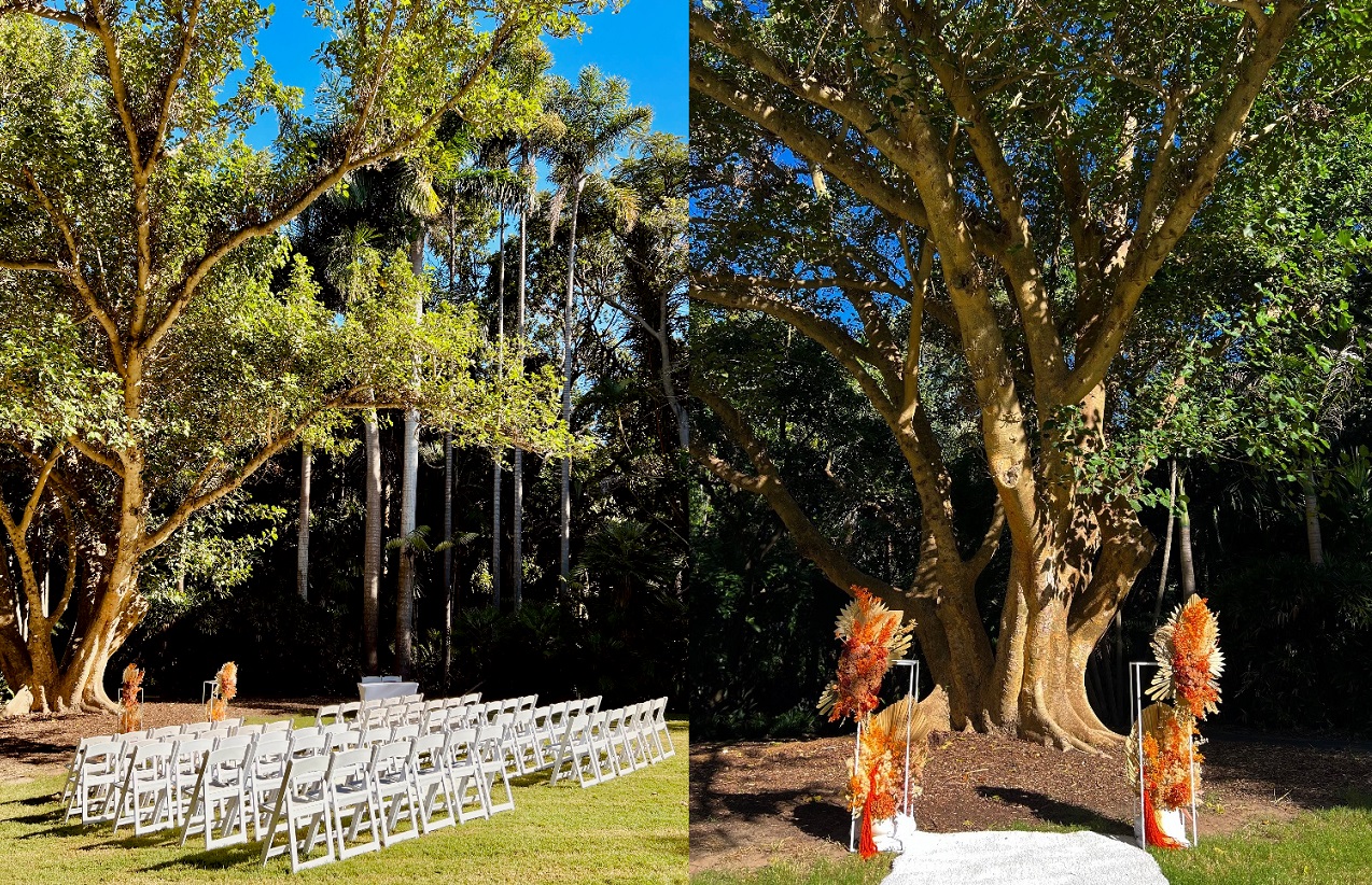 wedding set up Mt Coot-tha Botanic Gardens