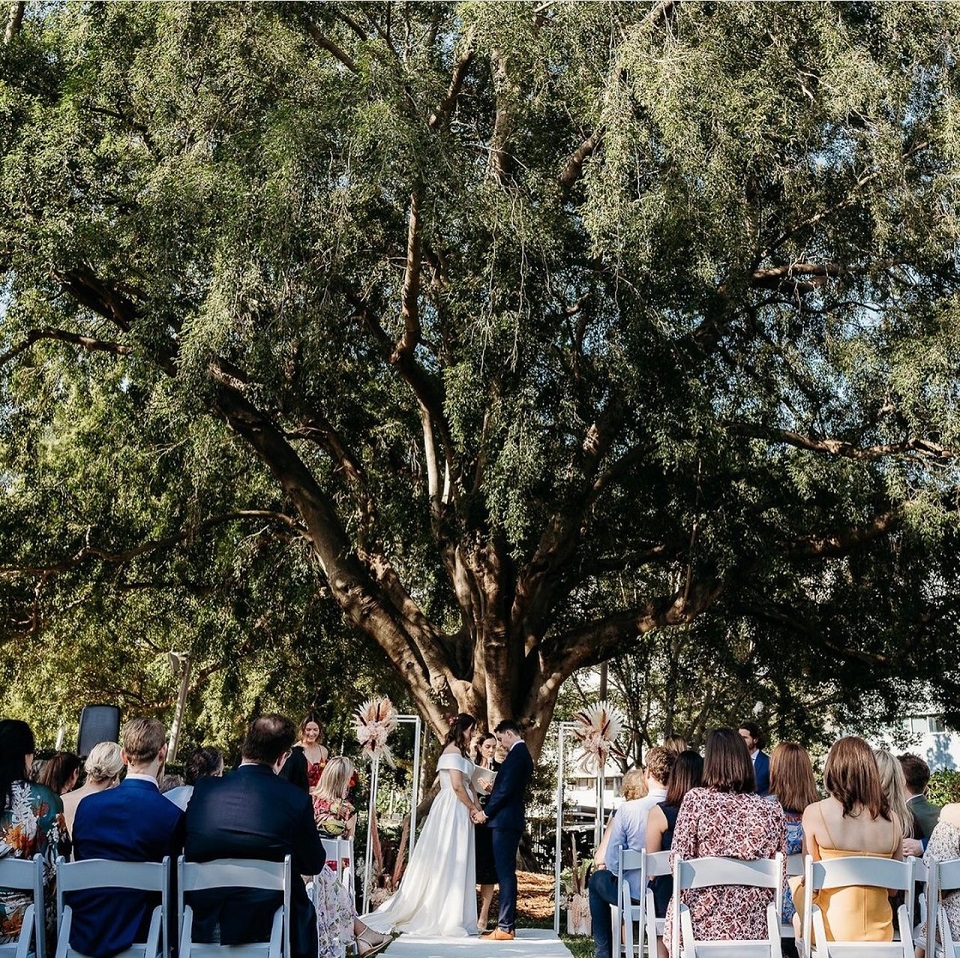 tree wedding Brisbane