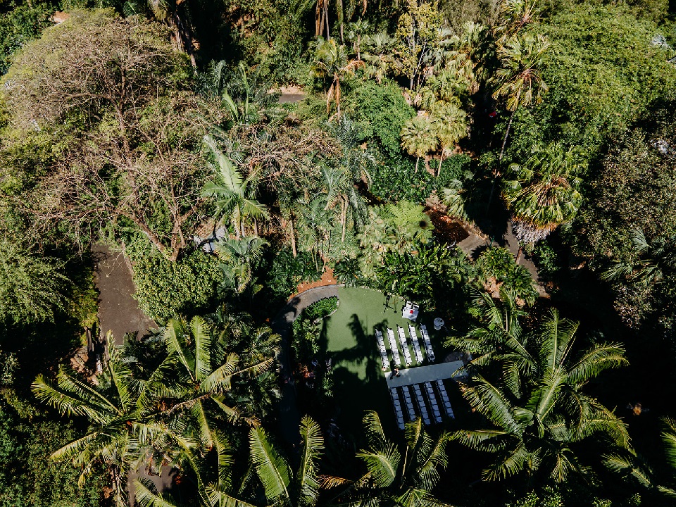 Mt Coot-tha wedding Palm Tree Lawn