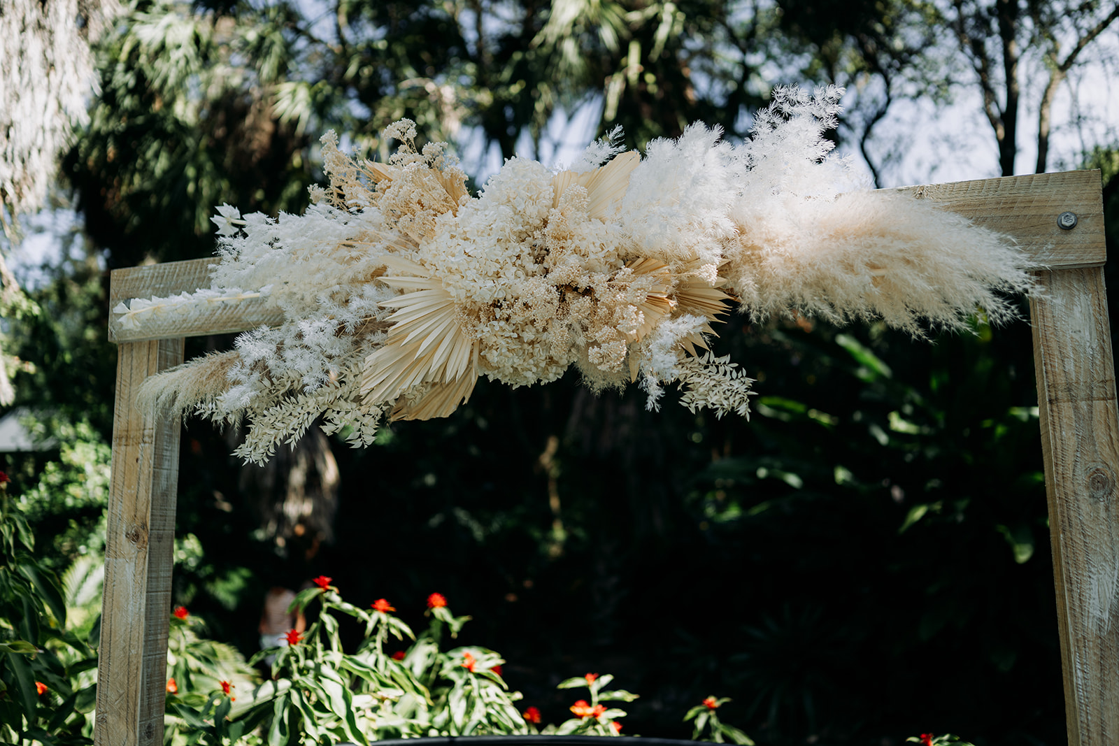 Mt Coot-tha Botanic gardens wedding