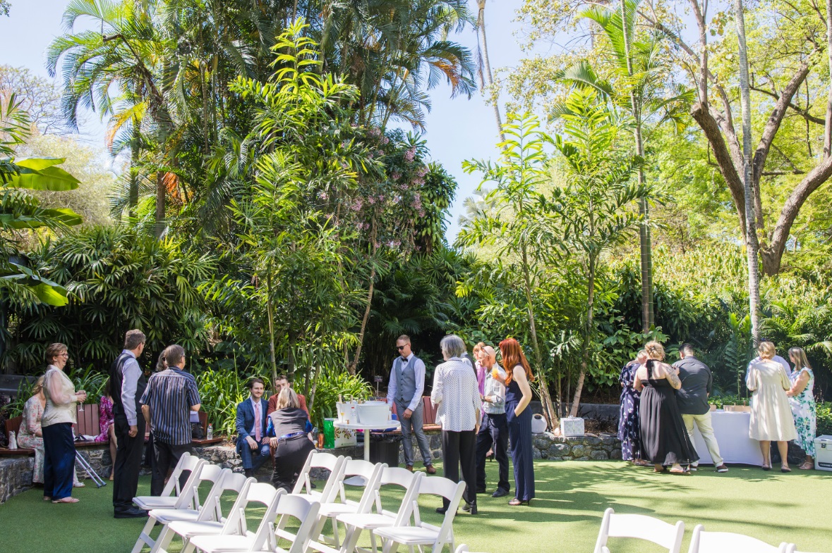 Wedding at Mt Coot-tha Palm Tree Lawn