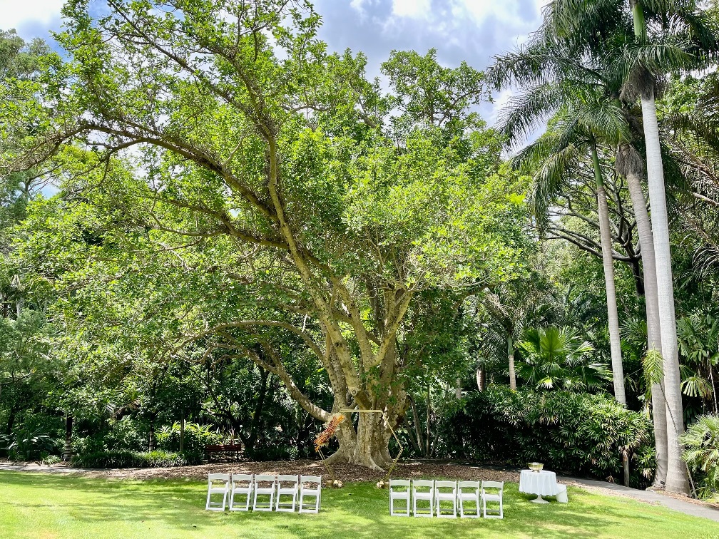 wedding Mt Coot-tha Botanic Gardens