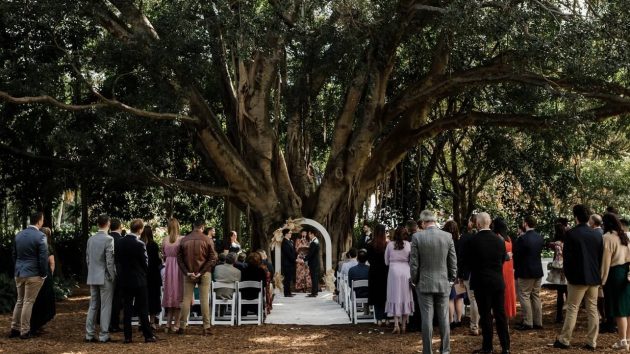 wedding ceremony arch brisbane botanic gardens