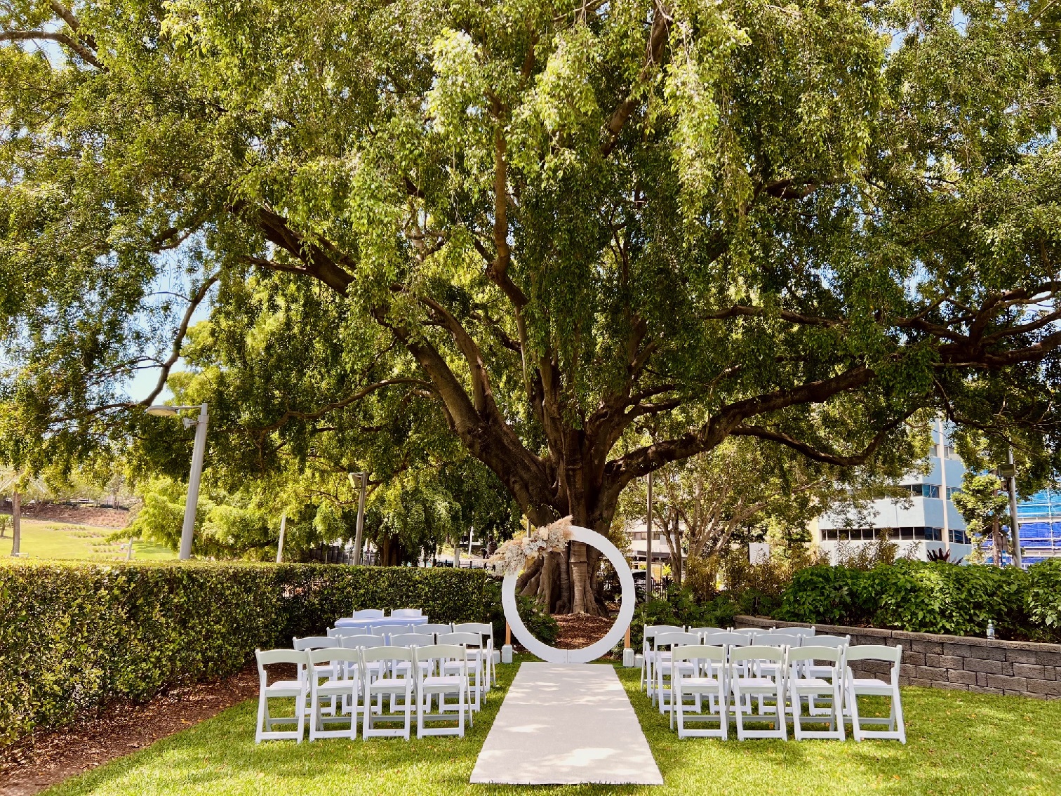 wedding arbour Roma Street Park Brisbane City