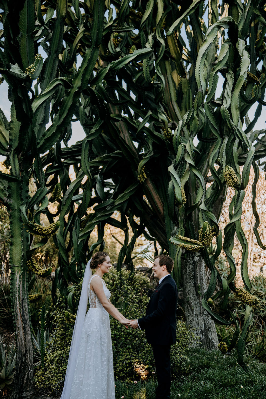 Mt Coot-tha wedding photos