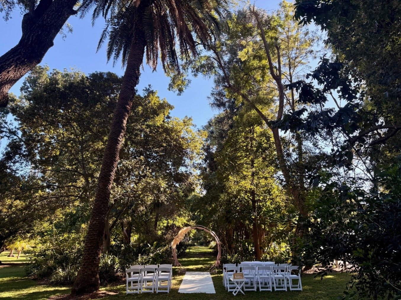 Bunya lawn wedding Brisbane Botanic Gardens