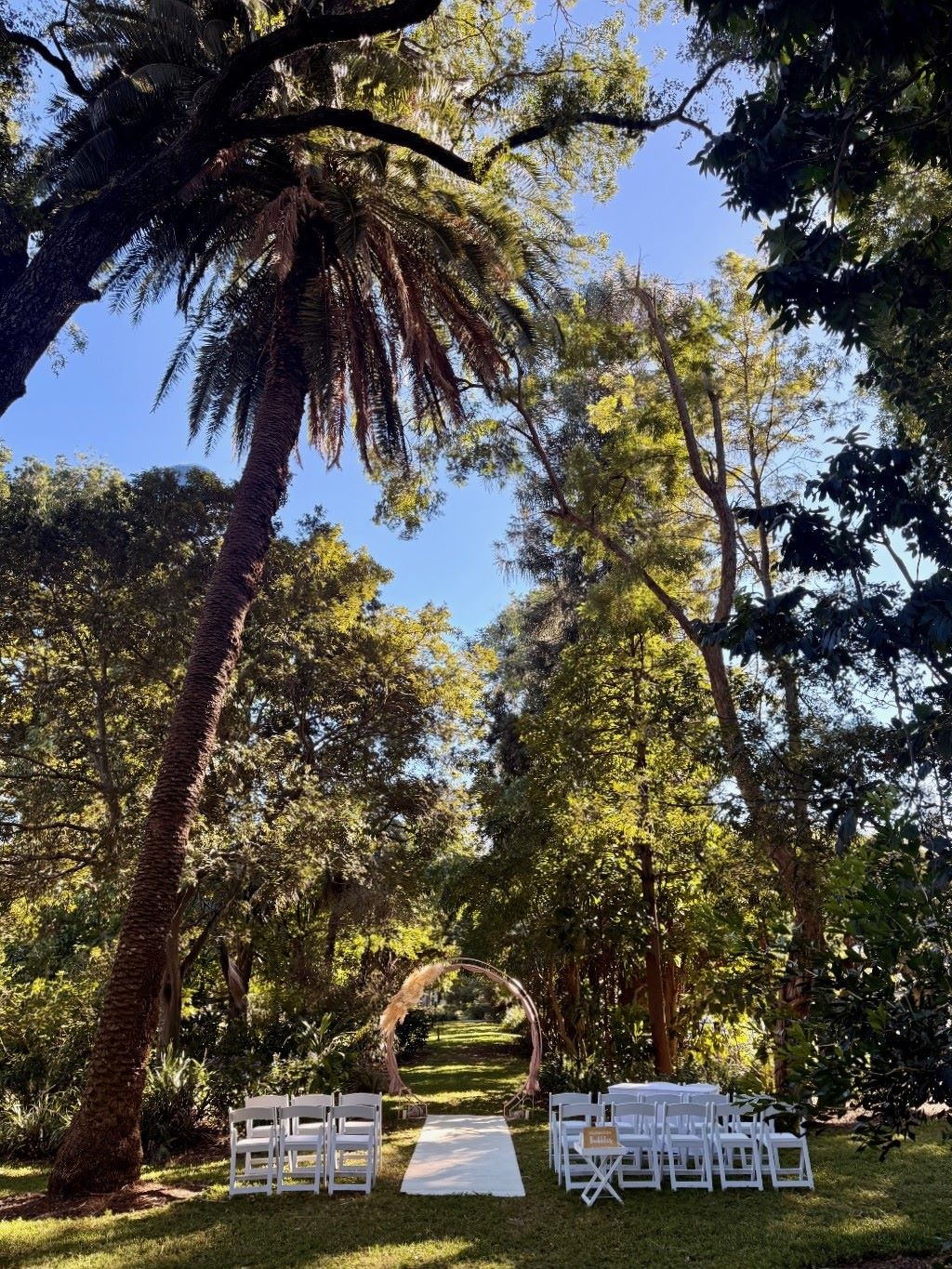 Bunya lawn wedding City Botanic Gardens