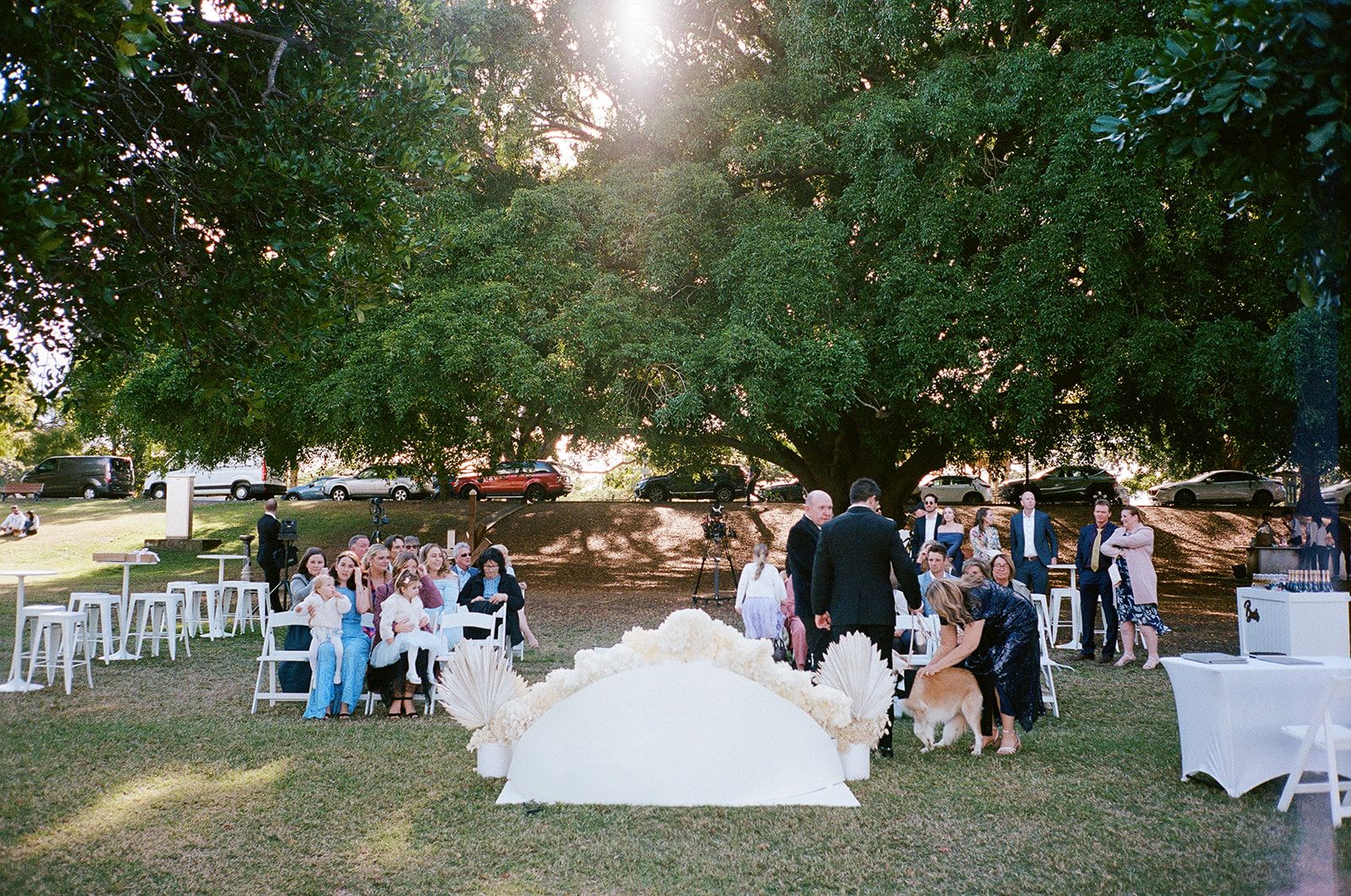 wedding cocktail hour celebrations New Farm Park