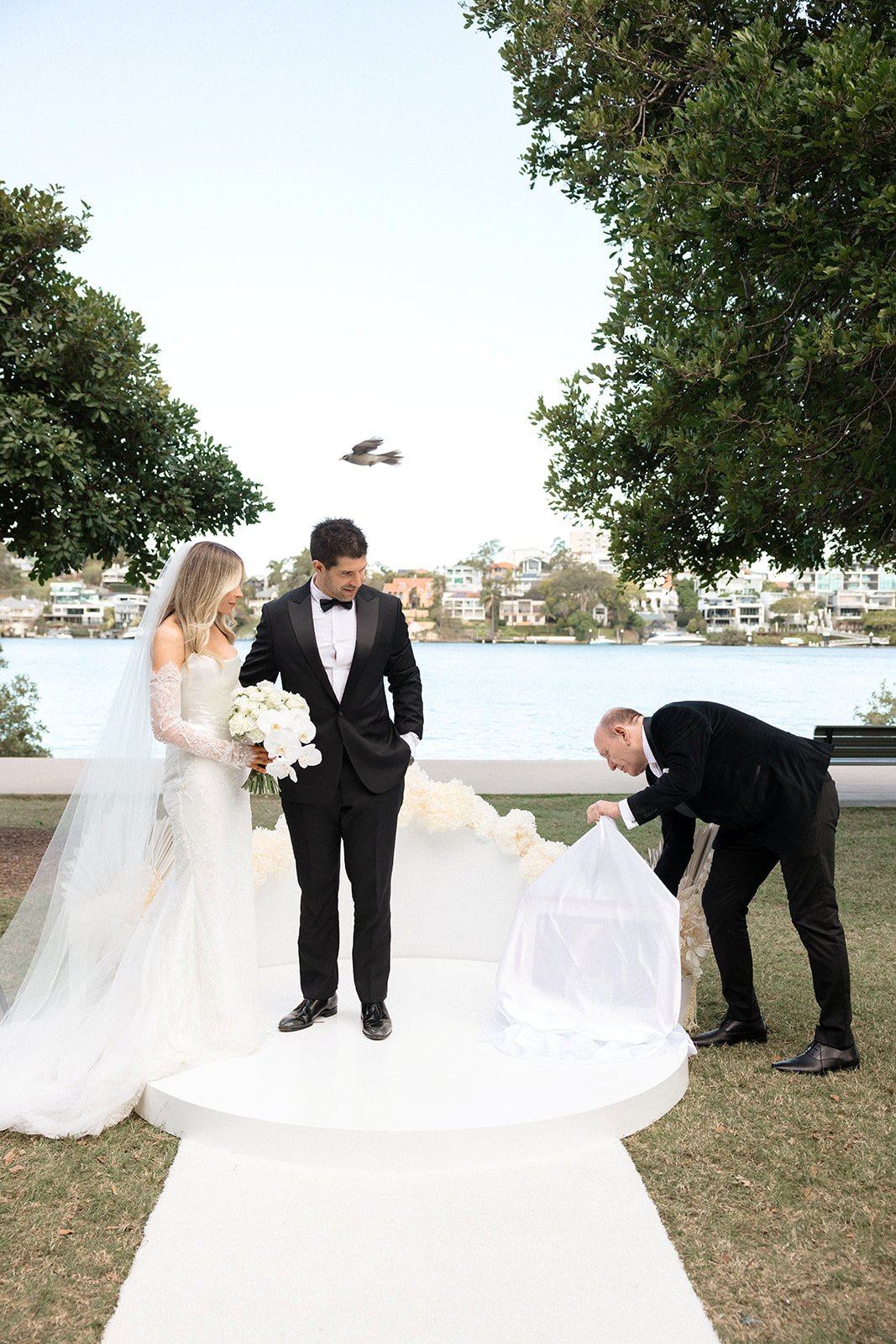 wedding surprise dog adoption