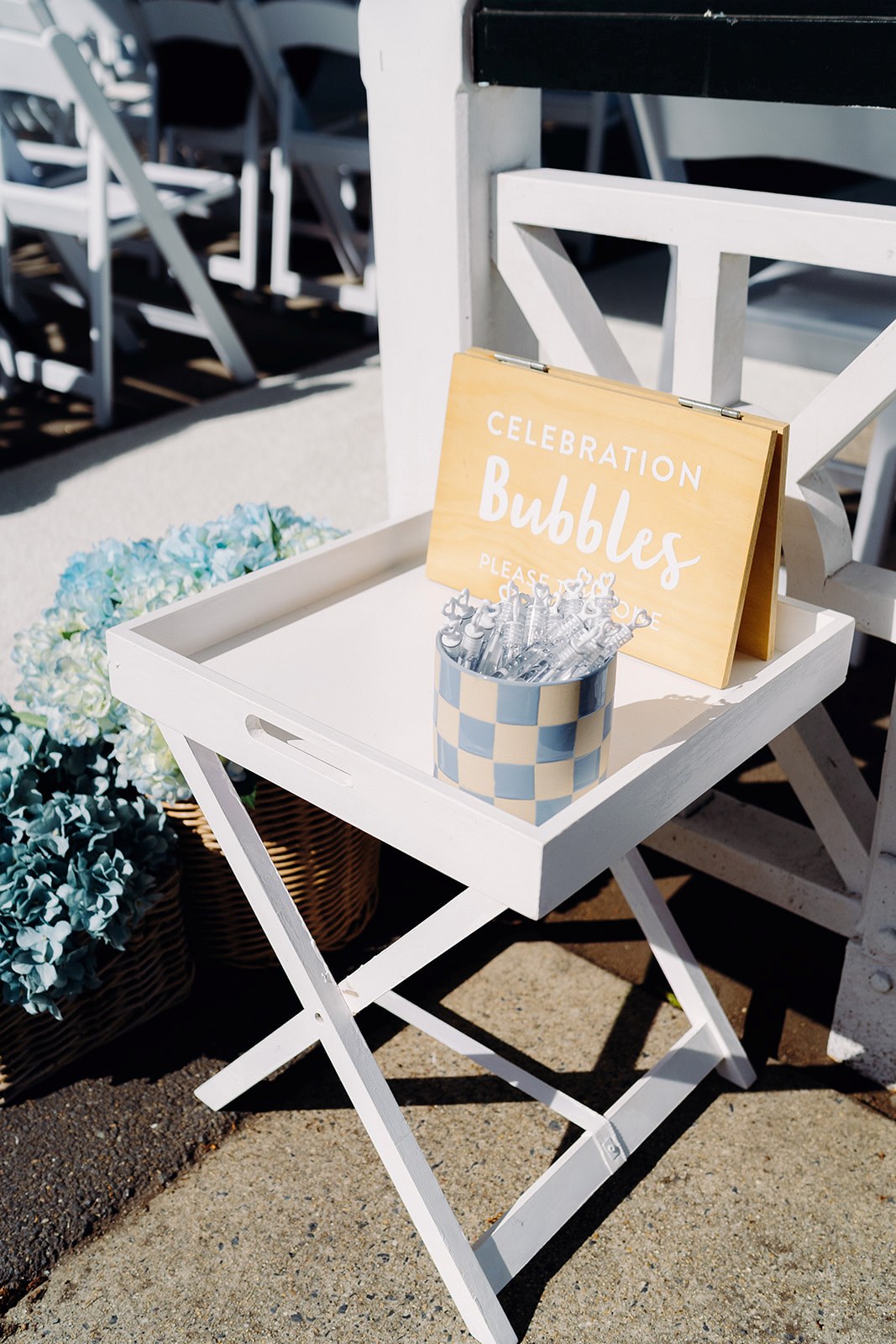 wedding bubbles at Newstead rotunda wedding