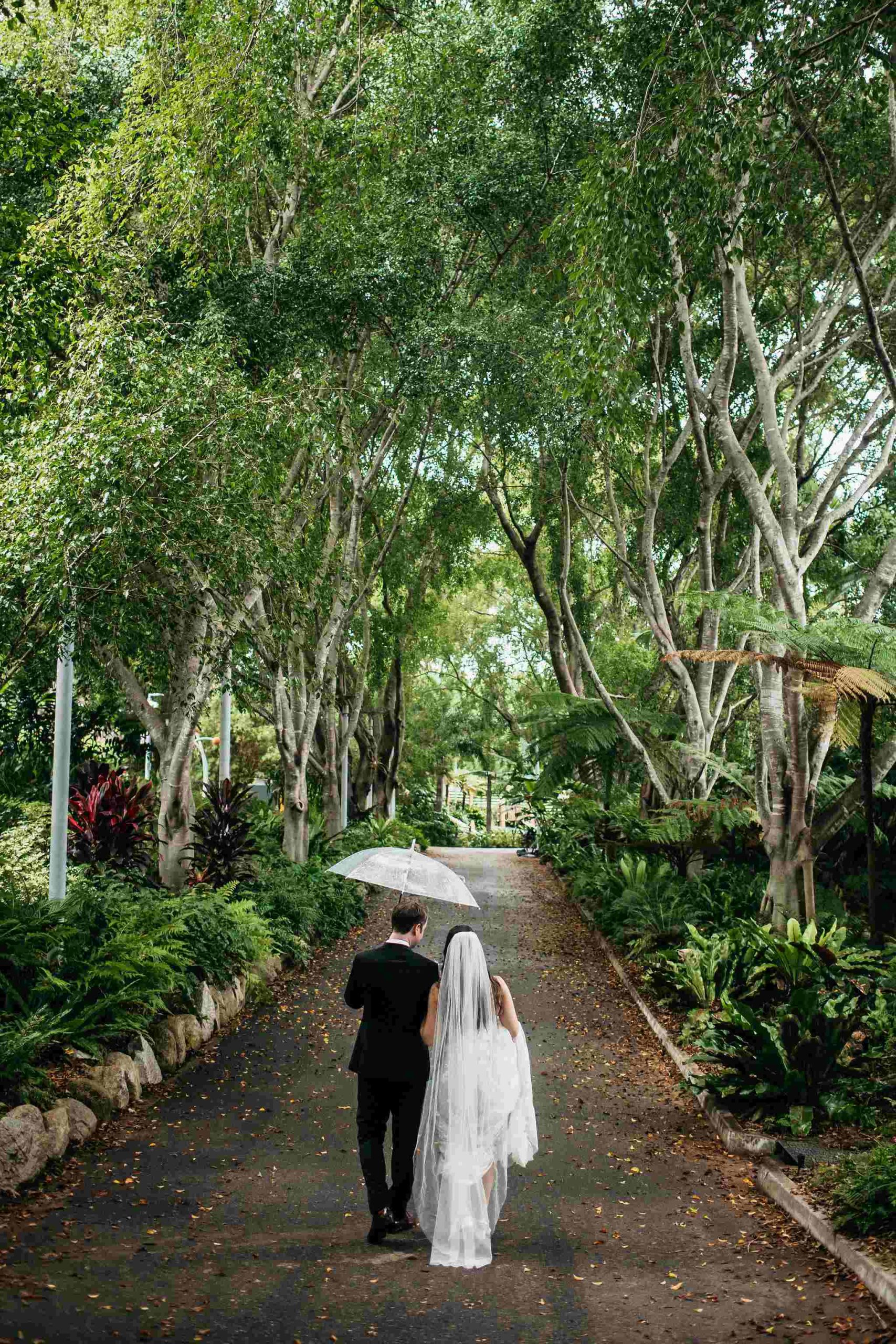 rain forecast for Brisbane wedding