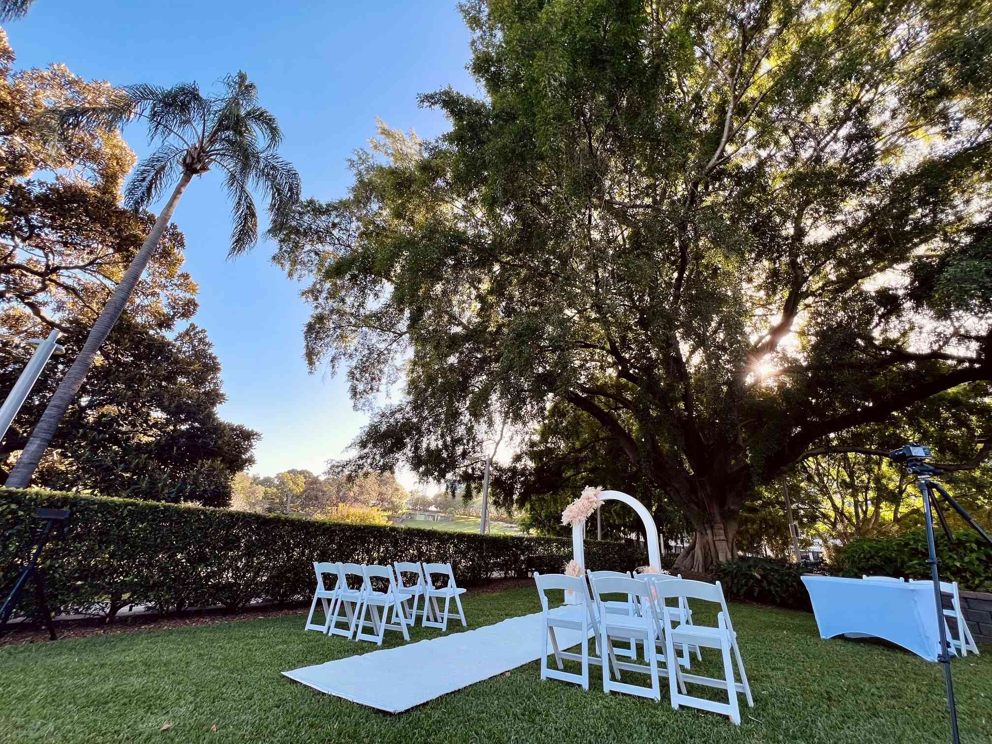 tree wedding at Roma Street Park