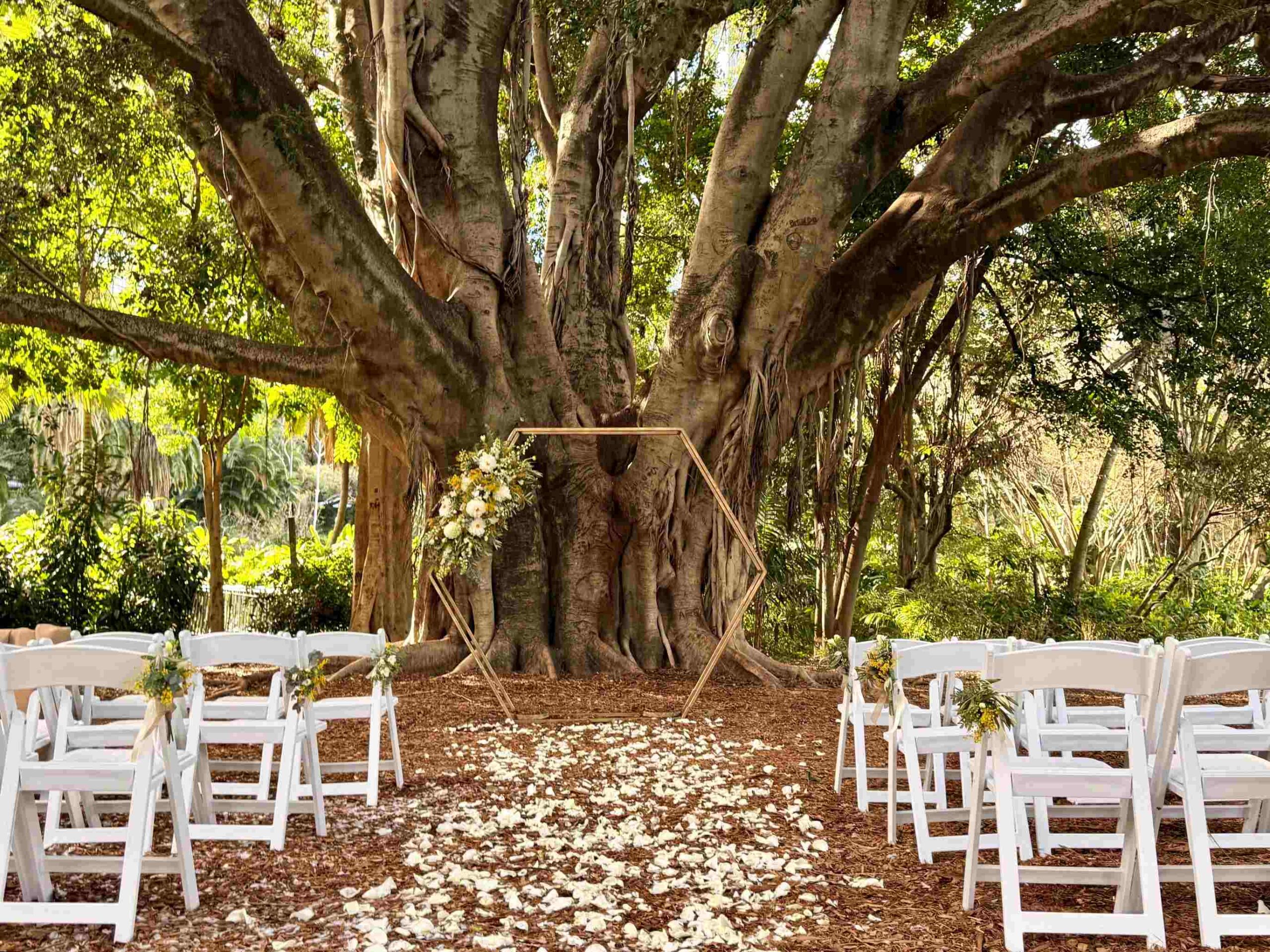 gold hexagon arbour resh rose petal aisle