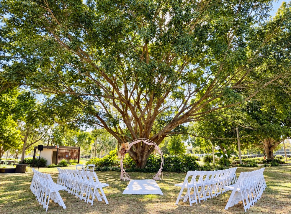 tree wedding ceremony with a beautiful fig tree in the background, close to Riva wedding venue 