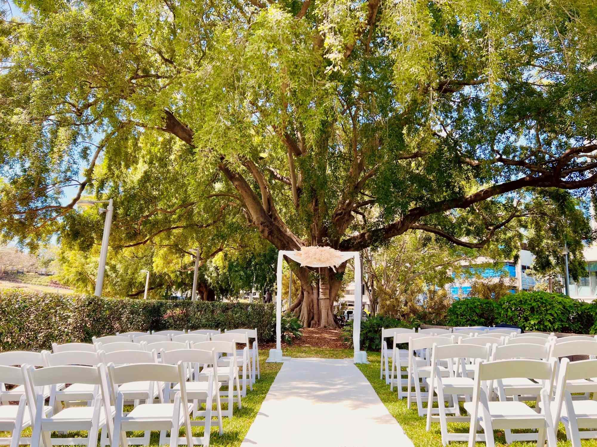 tree wedding backdrop Roma Street Park